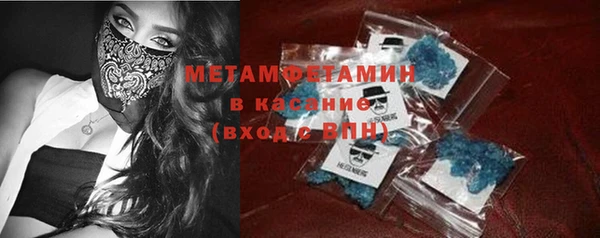 индика Алексин