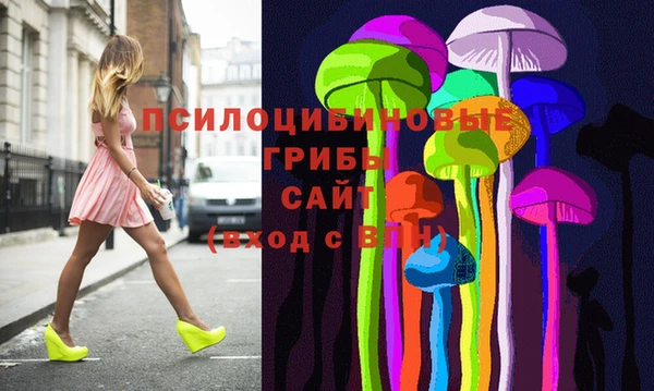 индика Алексин