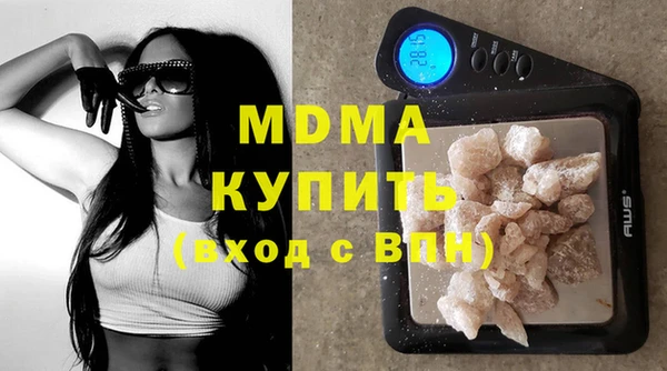 индика Алексин