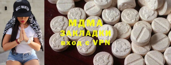 индика Алексин