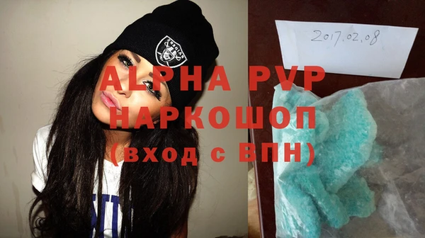 индика Алексин