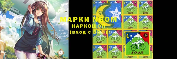 индика Алексин