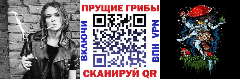 дарнет шоп  Грайворон  Галлюциногенные грибы Psilocybe 